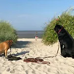 Minsener Warft * Schillig