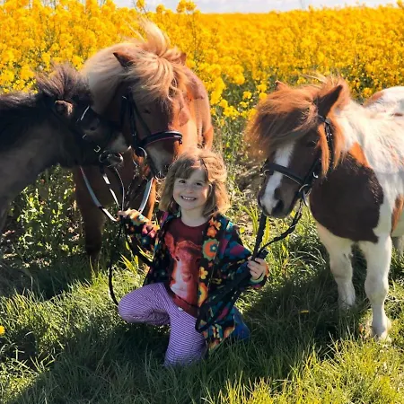 Minsener Warft דירה *