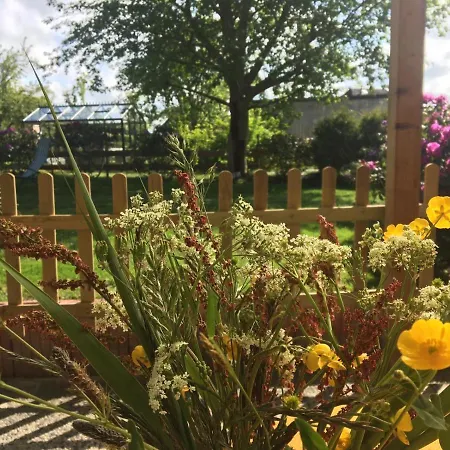 Minsener Warft שיליג