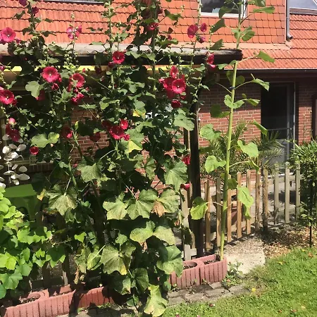 Διαμέρισμα Minsener Warft