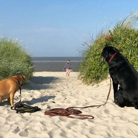 Minsener Warft * Schillig