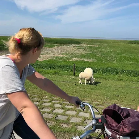 Minsener Warft Διαμέρισμα