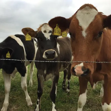 Minsener Warft Διαμέρισμα Schillig